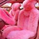 5Pcs Set Car Front Seat Cover & Fur Car Seat Steering Wheel Cover Pink Wool Wint